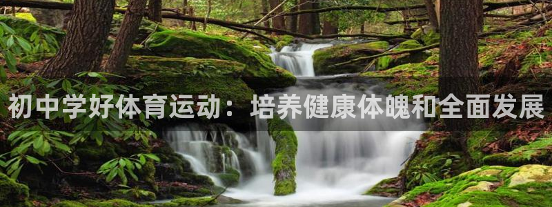球王会体育