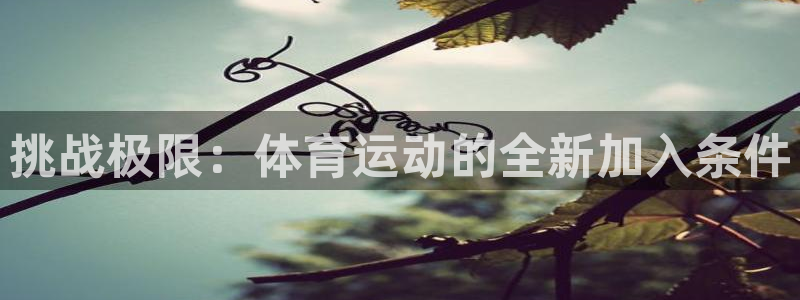 球王会体育