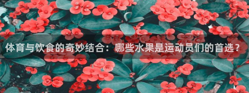 球王会体育