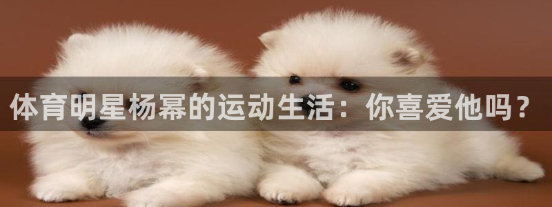 球王会体育