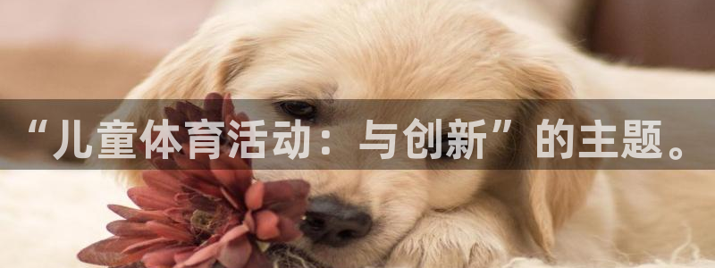 球王会体育
