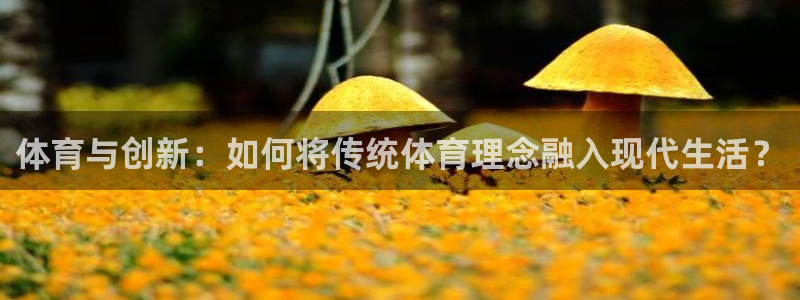 球王会体育