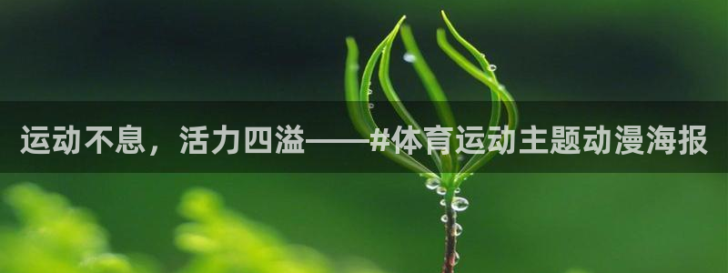 球王会体育