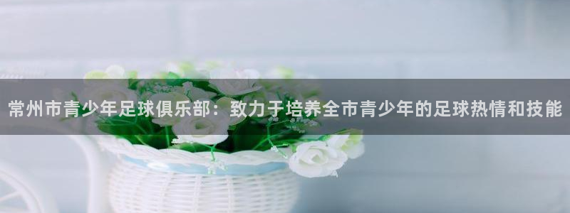 球王会体育