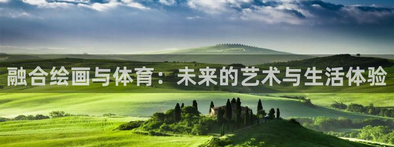 球王会体育