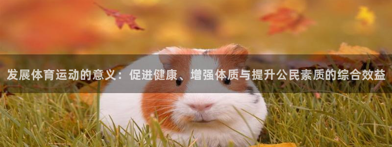 球王会体育