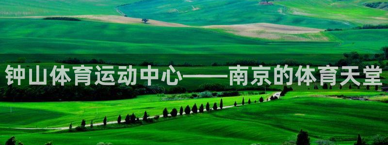 球王会体育